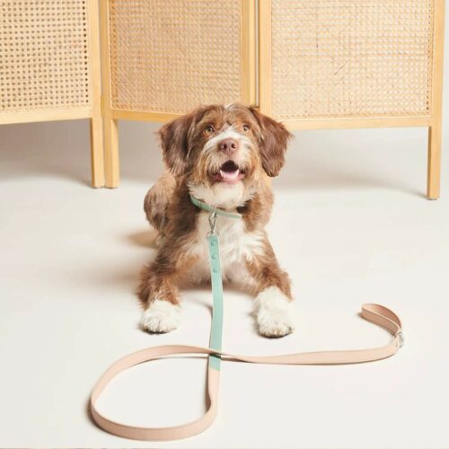 BO Vegan Leather Dog Leash - Handmade in Italy with Two-Toned ColorsSnippet: Elevate your dog walking routine with a minimalist and elegant BO Vegan Leather Dog Leash, handcrafted in Italy. Lightweight and made of vegan leather, it features a comfortable handle and D-ring for added convenience. The two-toned emerald and tan color combination pairs perfectly with other BO Vegan Leather Dog products.