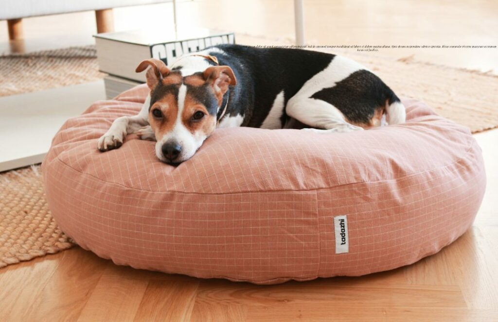 A charming checkered rose design Poespas dog cushion by Tadazhi, featuring a contented dog lounging comfortably on the round cushion