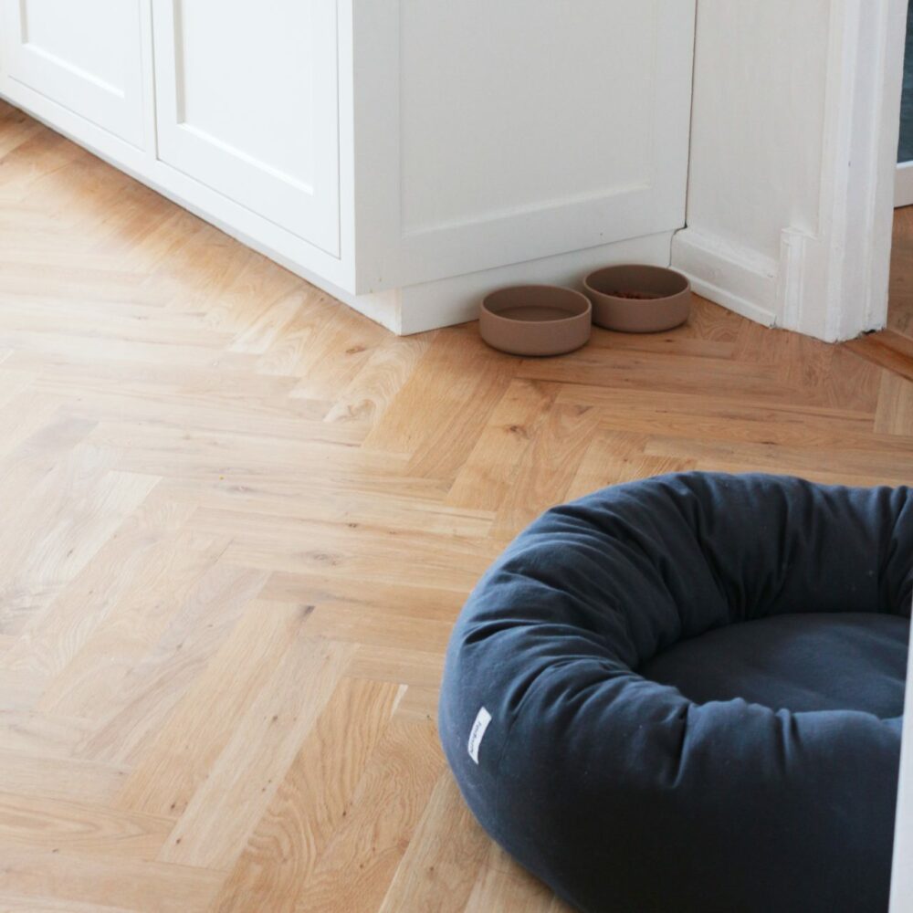 Lifestyle Image of two Tadazhi non-slip dog bowls placed side by side on the floor for use as dog food and water bowls