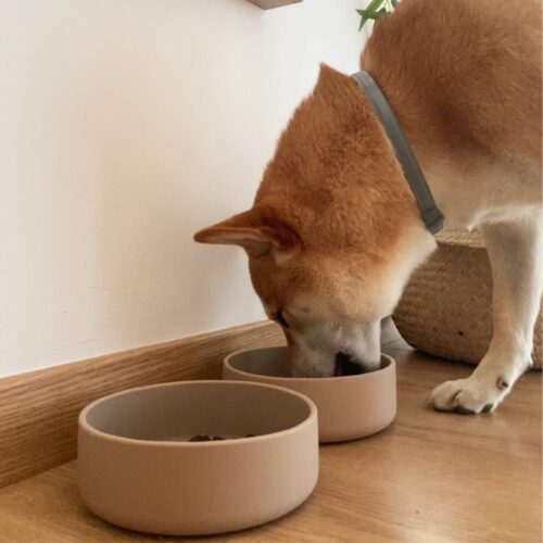 Lifestyle Image of two Tadazhi non-slip dog bowls placed side by side on the floor. A dog is drinking water from one of the bowls